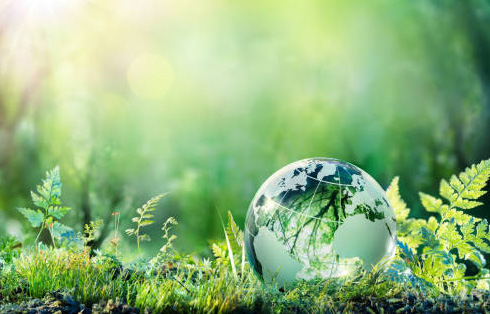 WHAT'S THE DEAL WITH RPET?